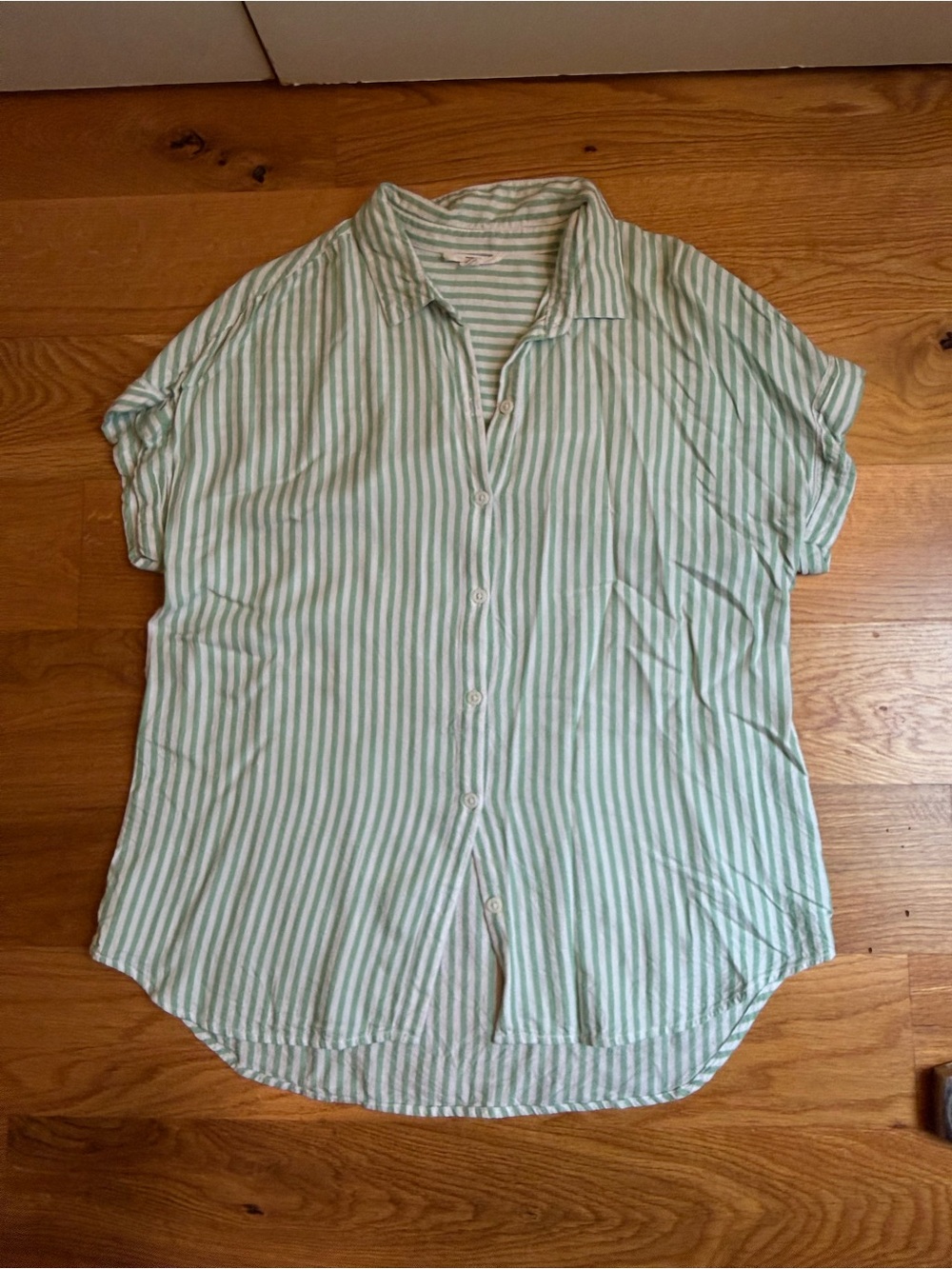 Beach Lunch Lounge Women’s Short-Sleeve Button Front Shirt in Light Green Stripe